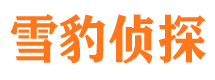 天门外遇调查取证